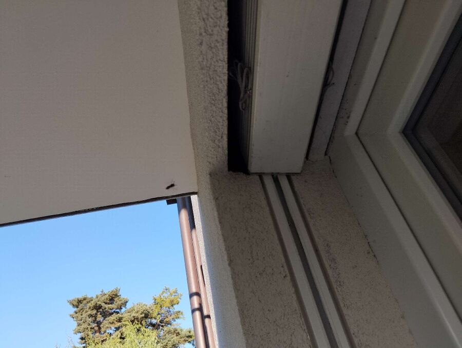 Bee nest at the house remove