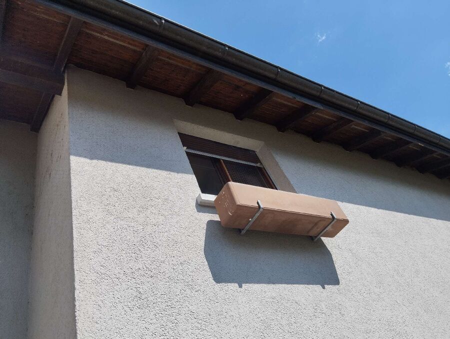 Bee nest at the house remove