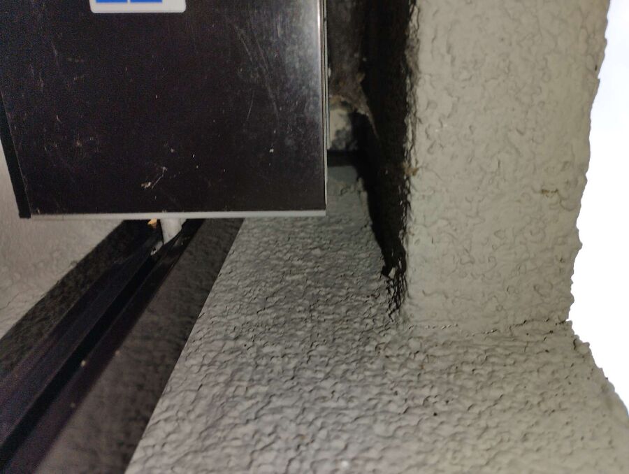 Bee nest at the house remove