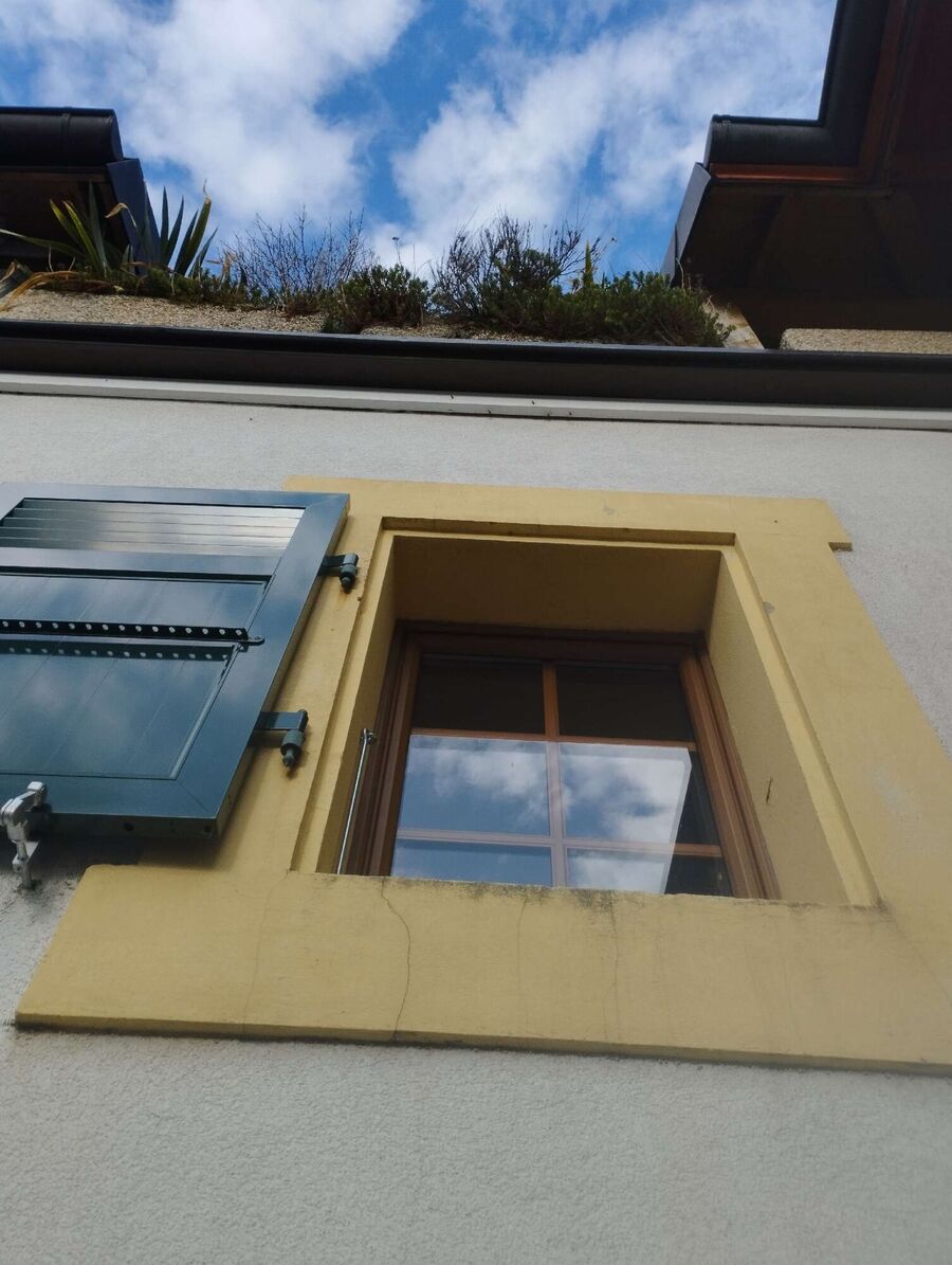 Bee nest at the house remove