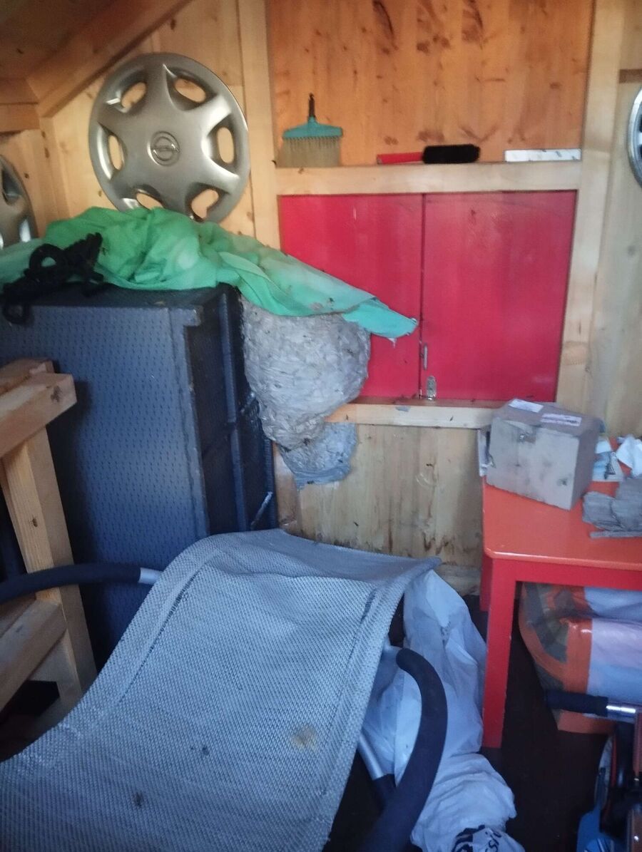 Bee nest at the house remove