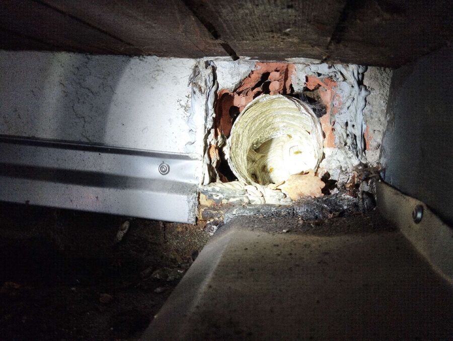 Relocate bees & remove bee nest