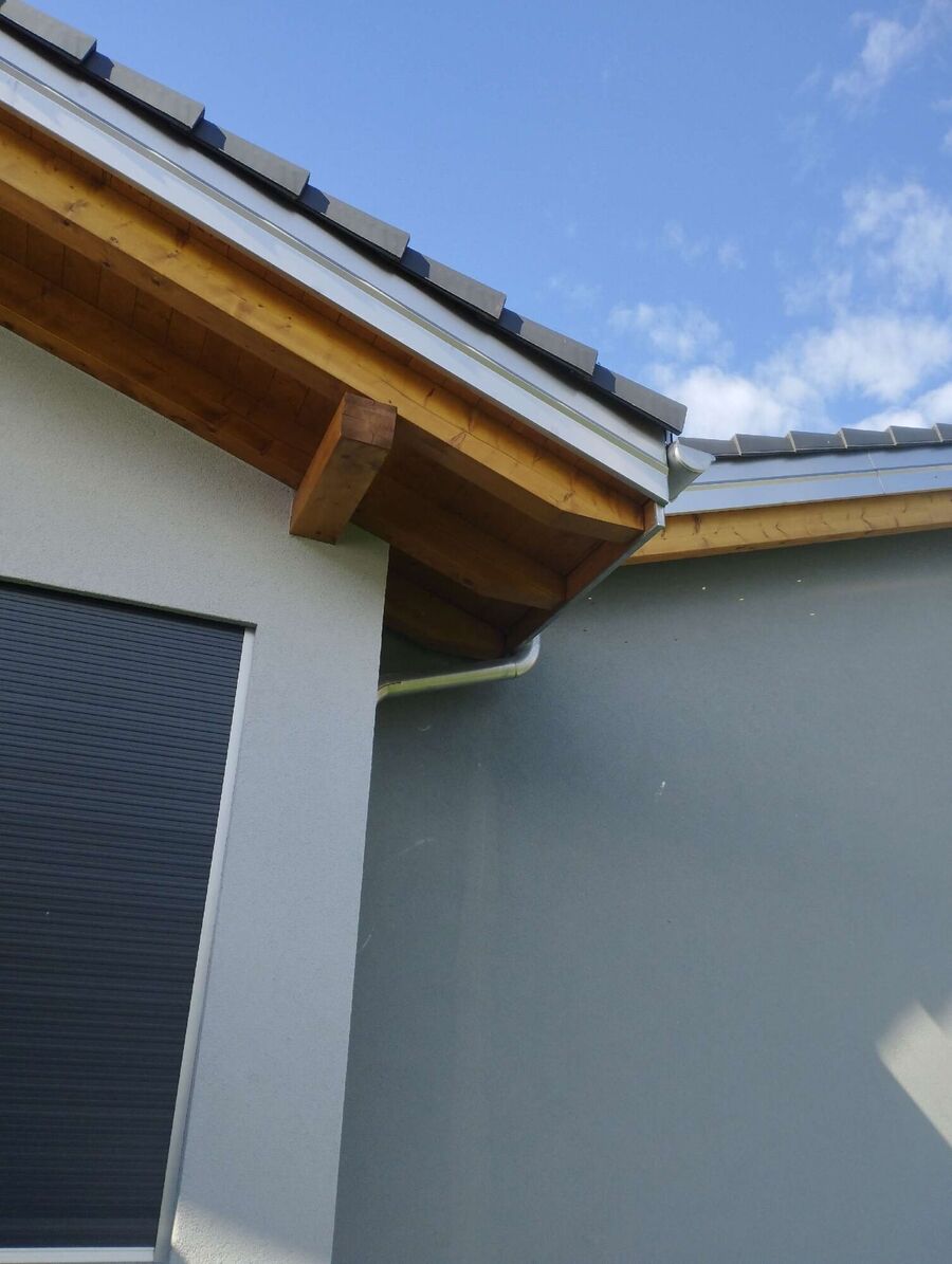 Bee nest at the house remove