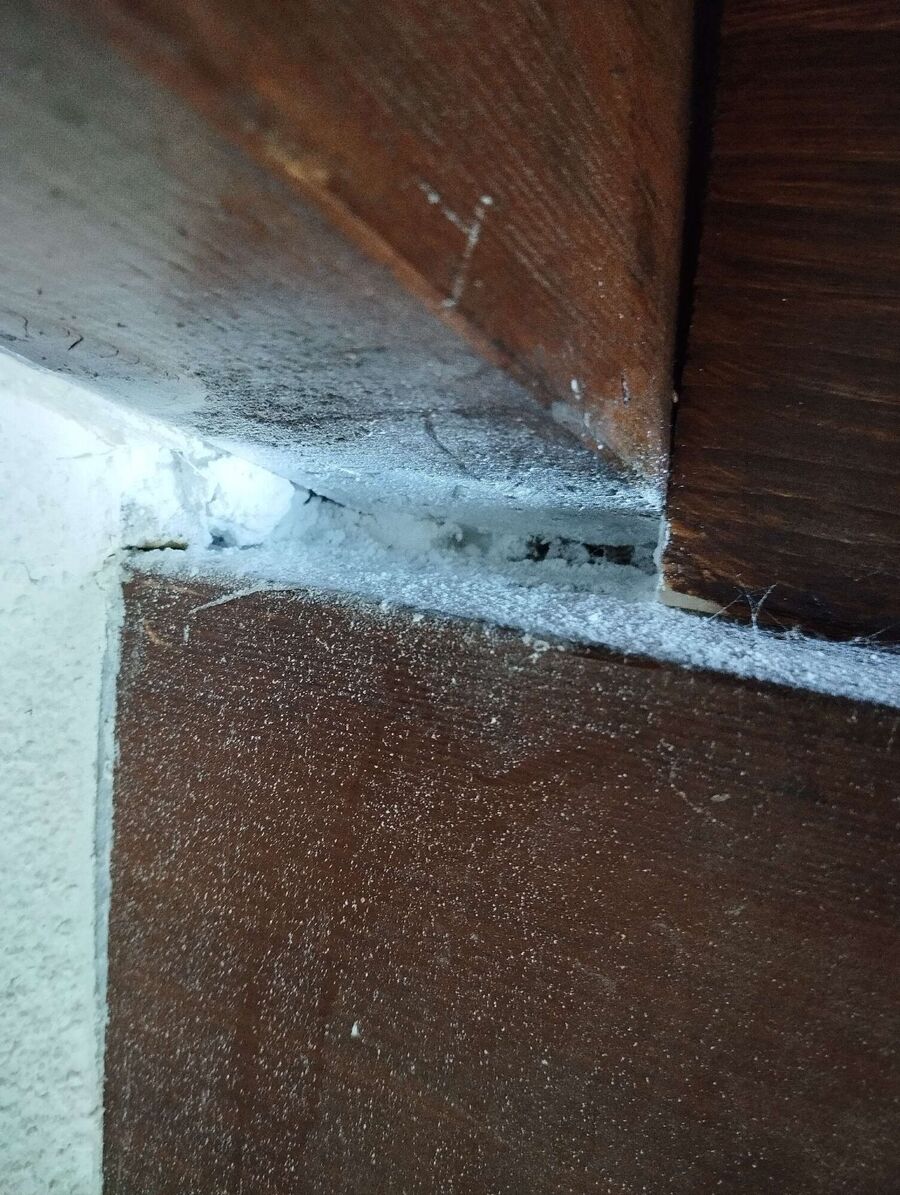 Relocate bees & remove bee nest