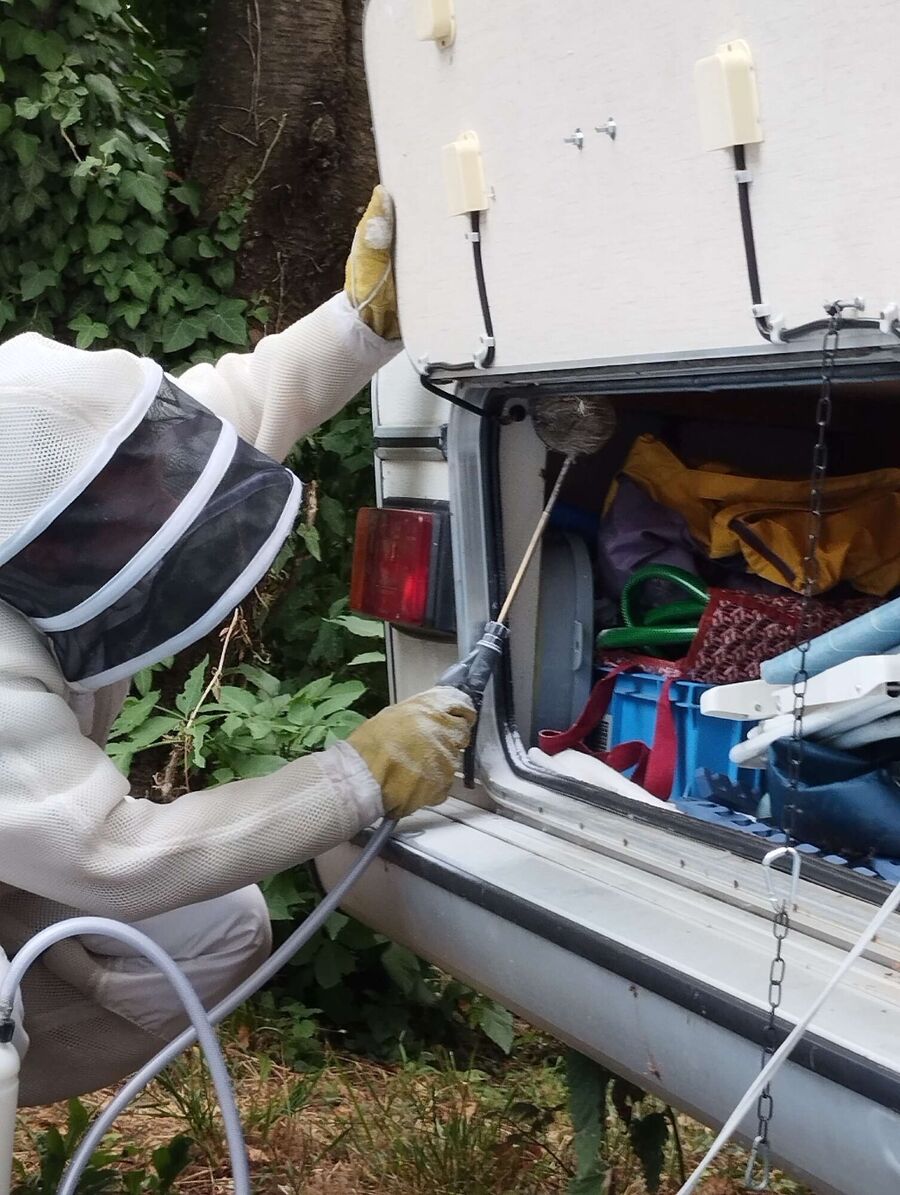 Bee nest at the house remove