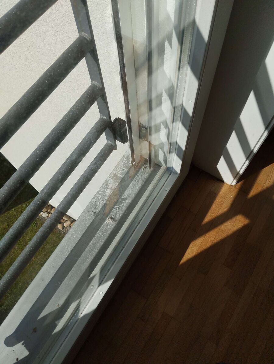 Bee nest at the house remove