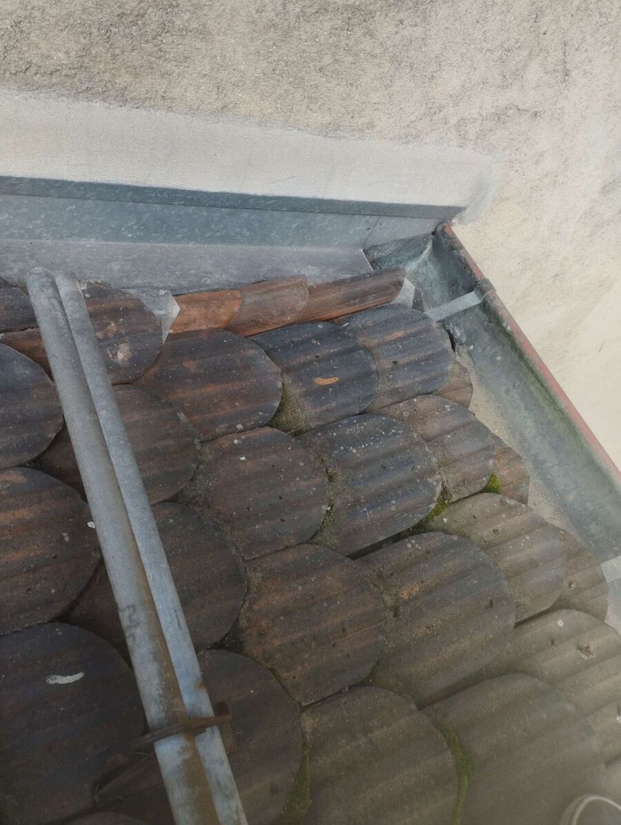 Bee nest at the house remove