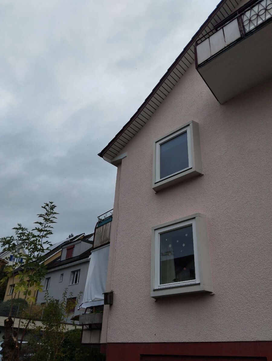 Relocate bees & remove bee nest