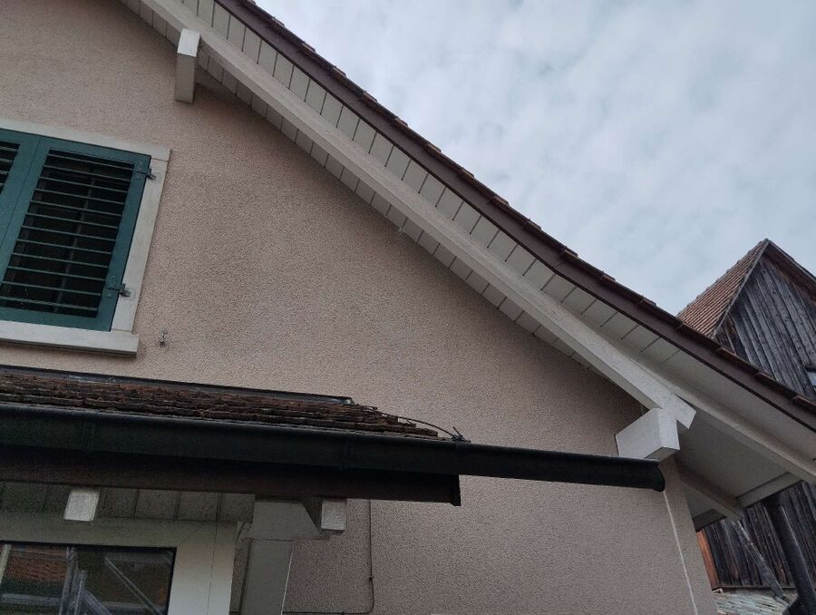 Relocate bees & remove bee nest