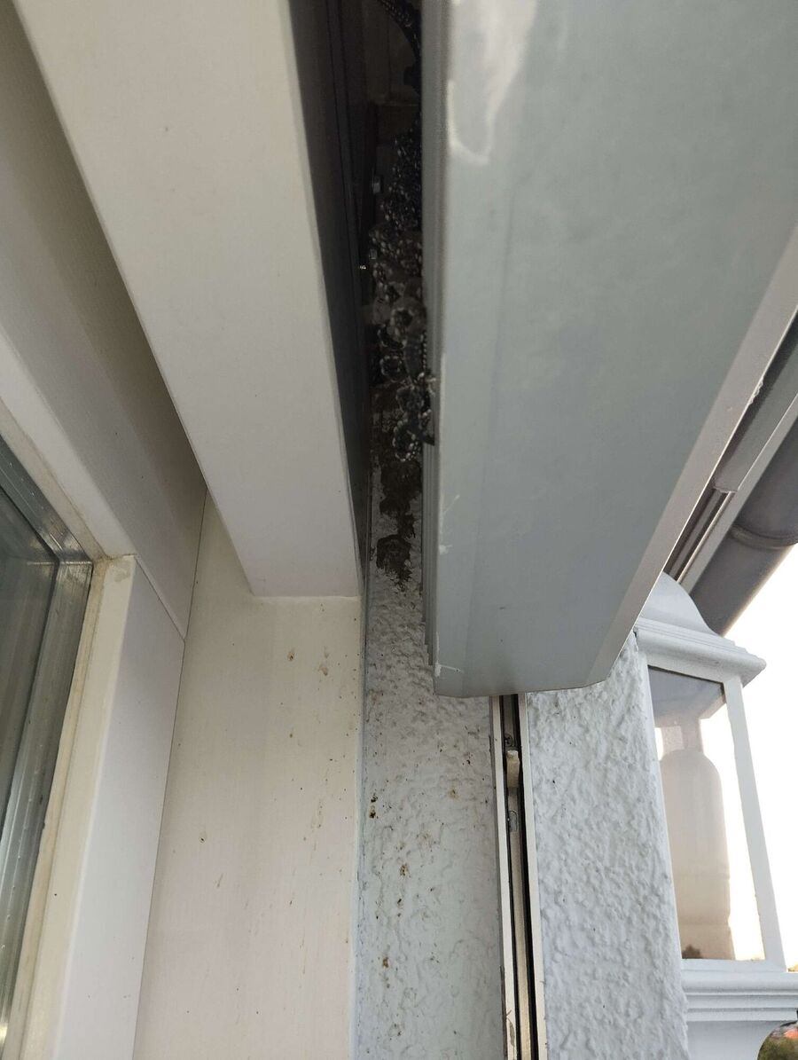 Bee nest at the house remove