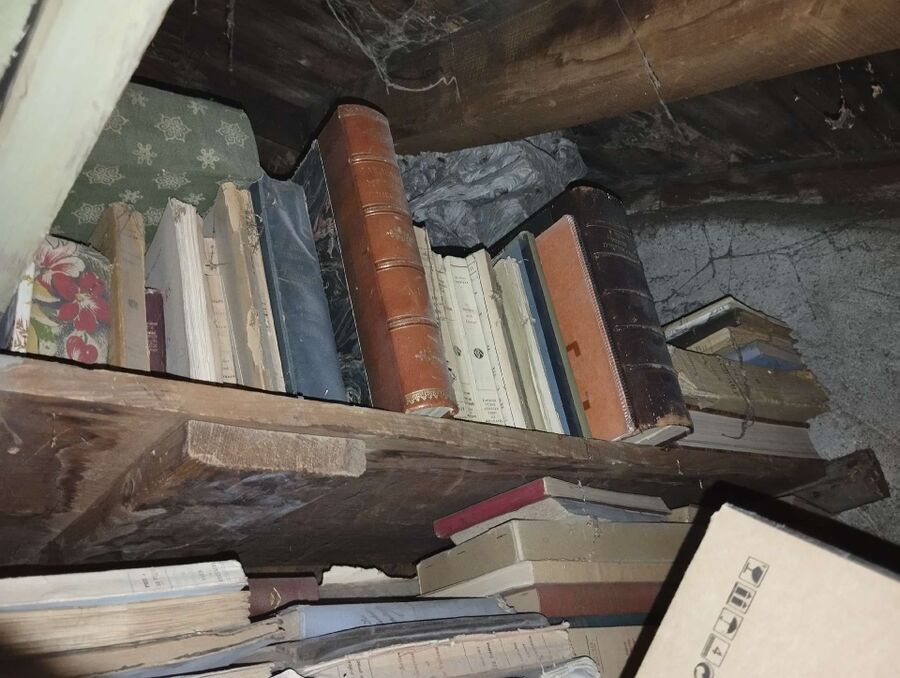 Bee nest at the house remove