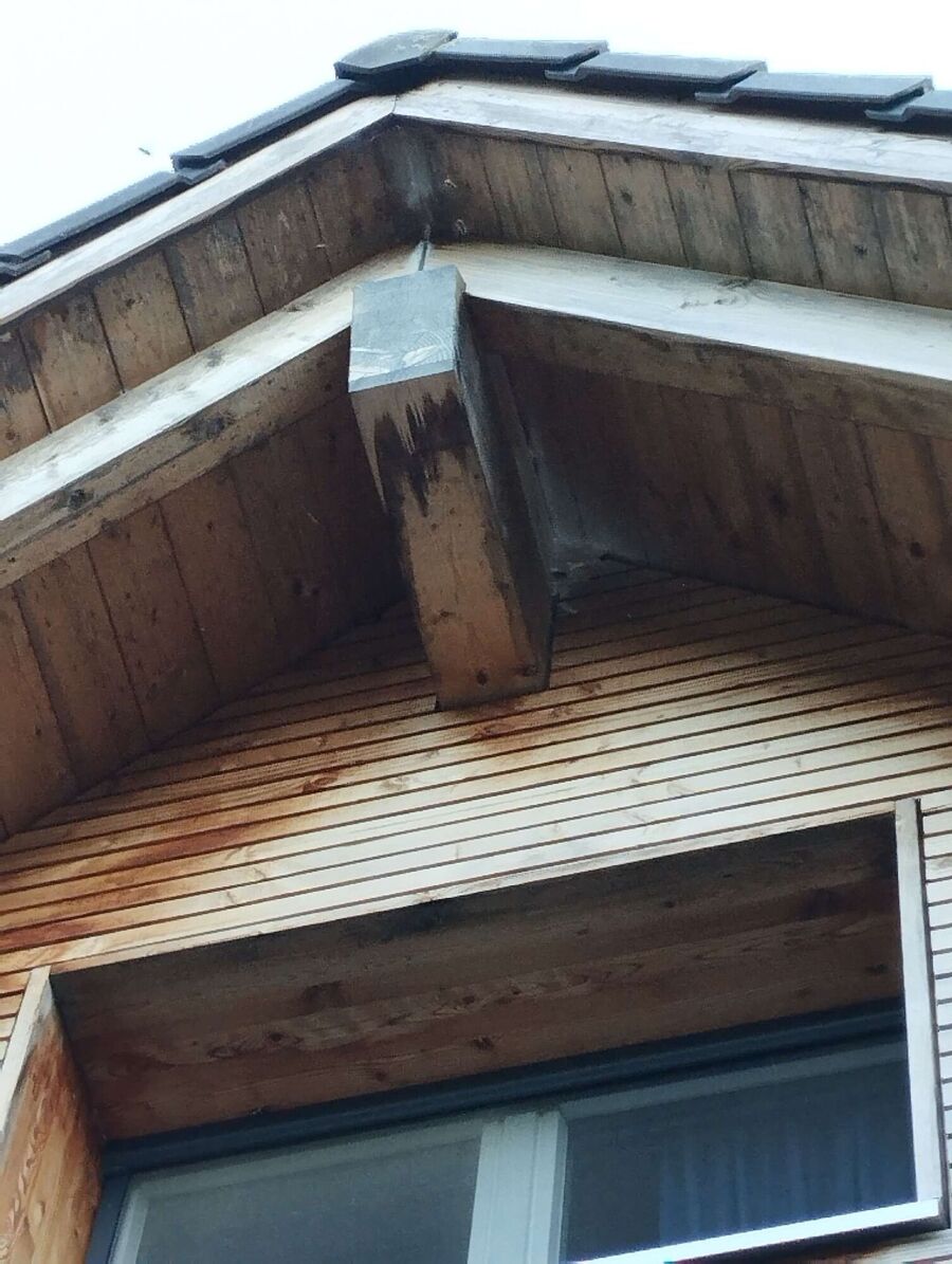 Bee nest at the house remove