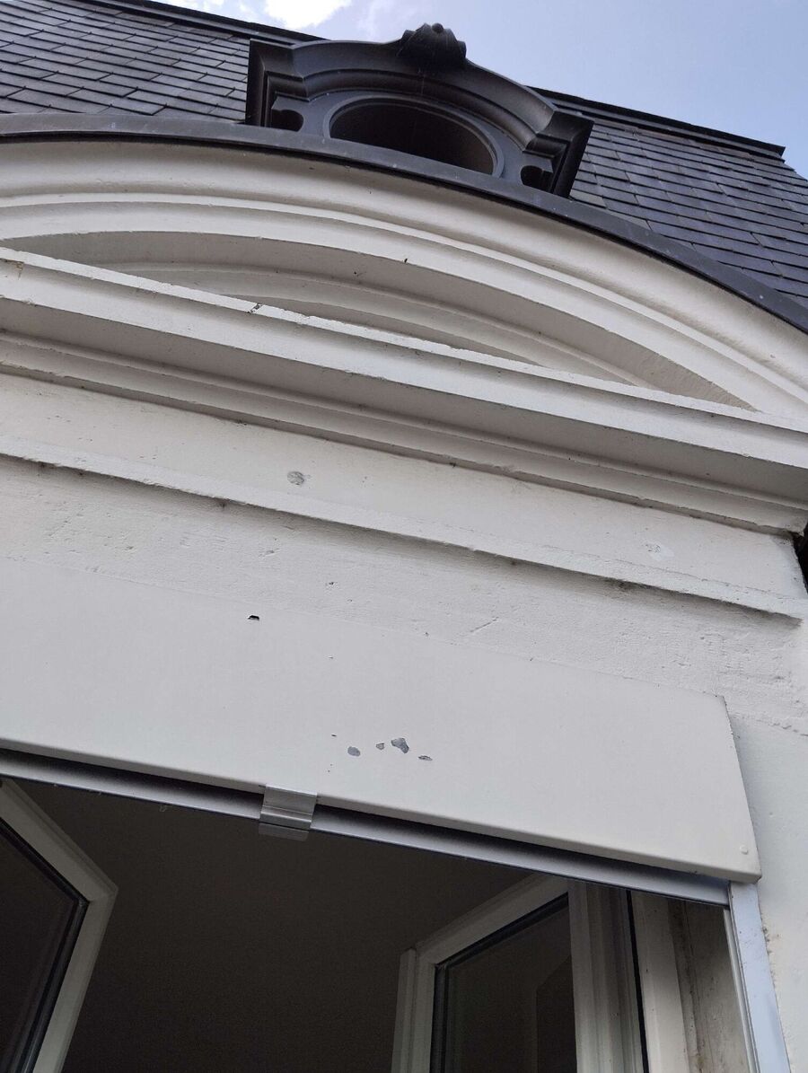 Relocate bees & remove bee nest