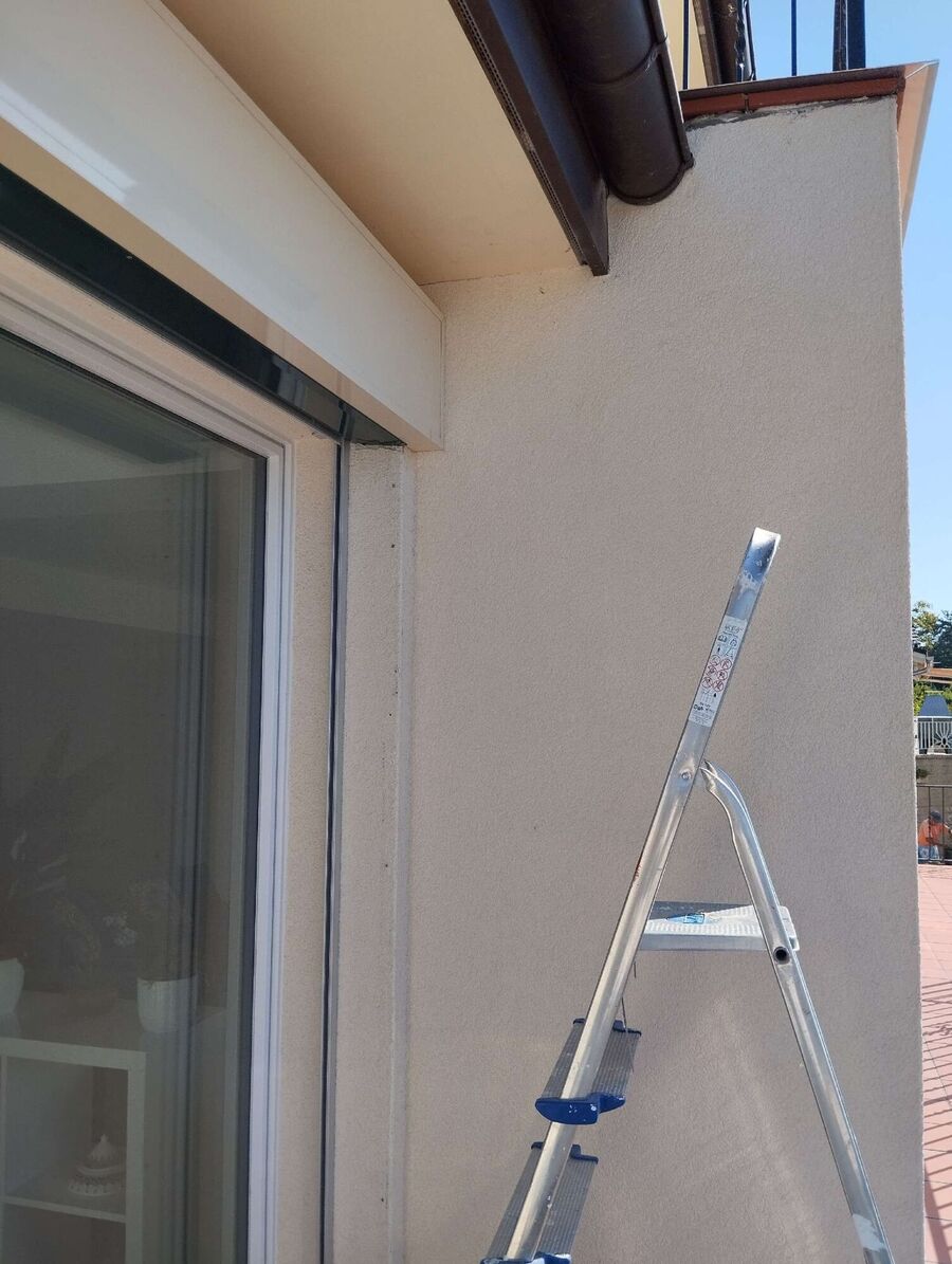 Relocate bees & remove bee nest