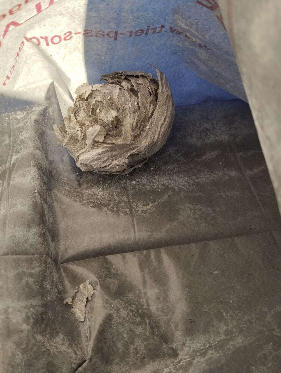 Bee nest at the house remove