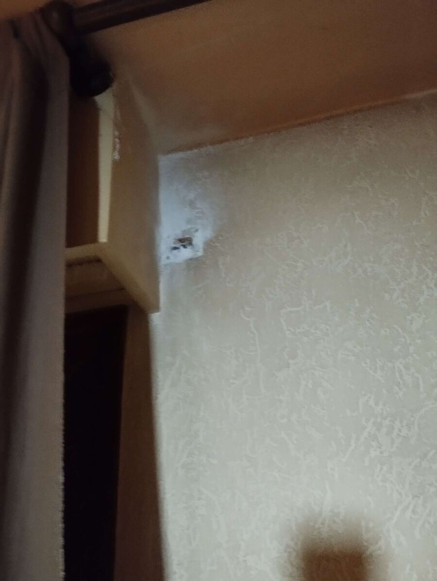 Bee nest at the house remove