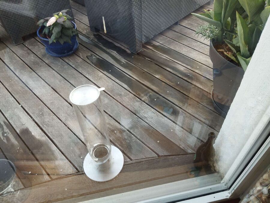 Bee nest at the house remove