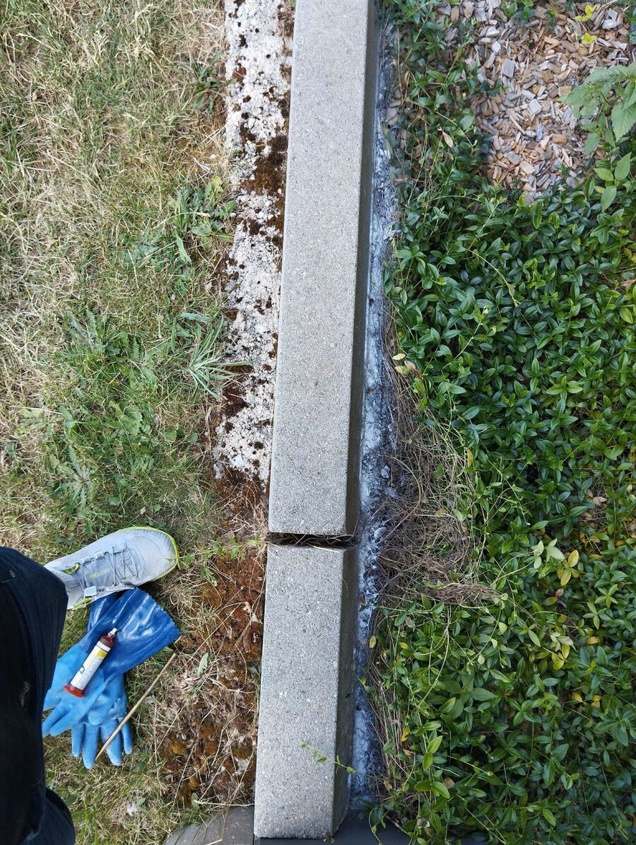 Bee nest at the house remove