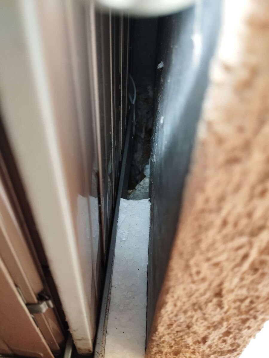 Bee nest at the house remove