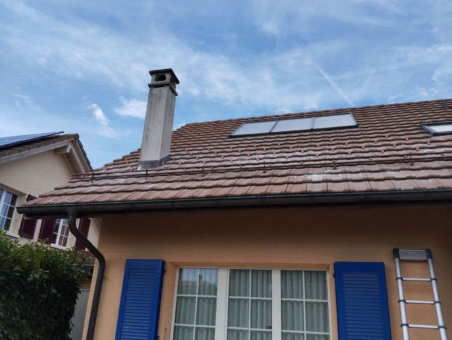 Bee nest at the house remove