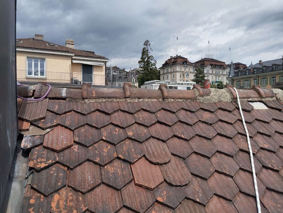 Bee nest at the house remove