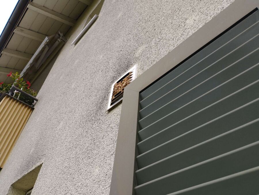 Bee nest at the house remove