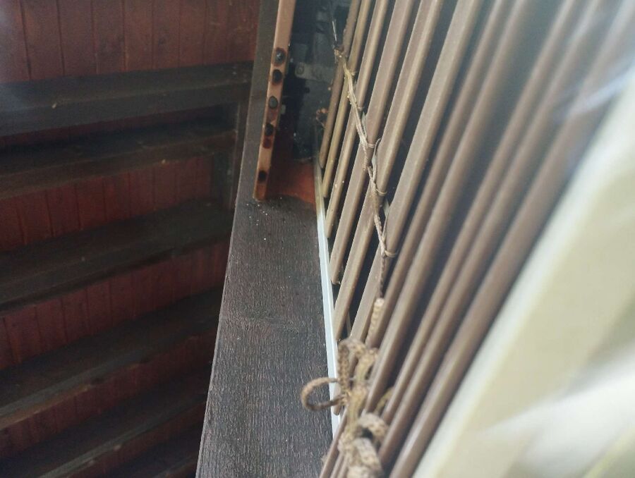 Bee nest at the house remove