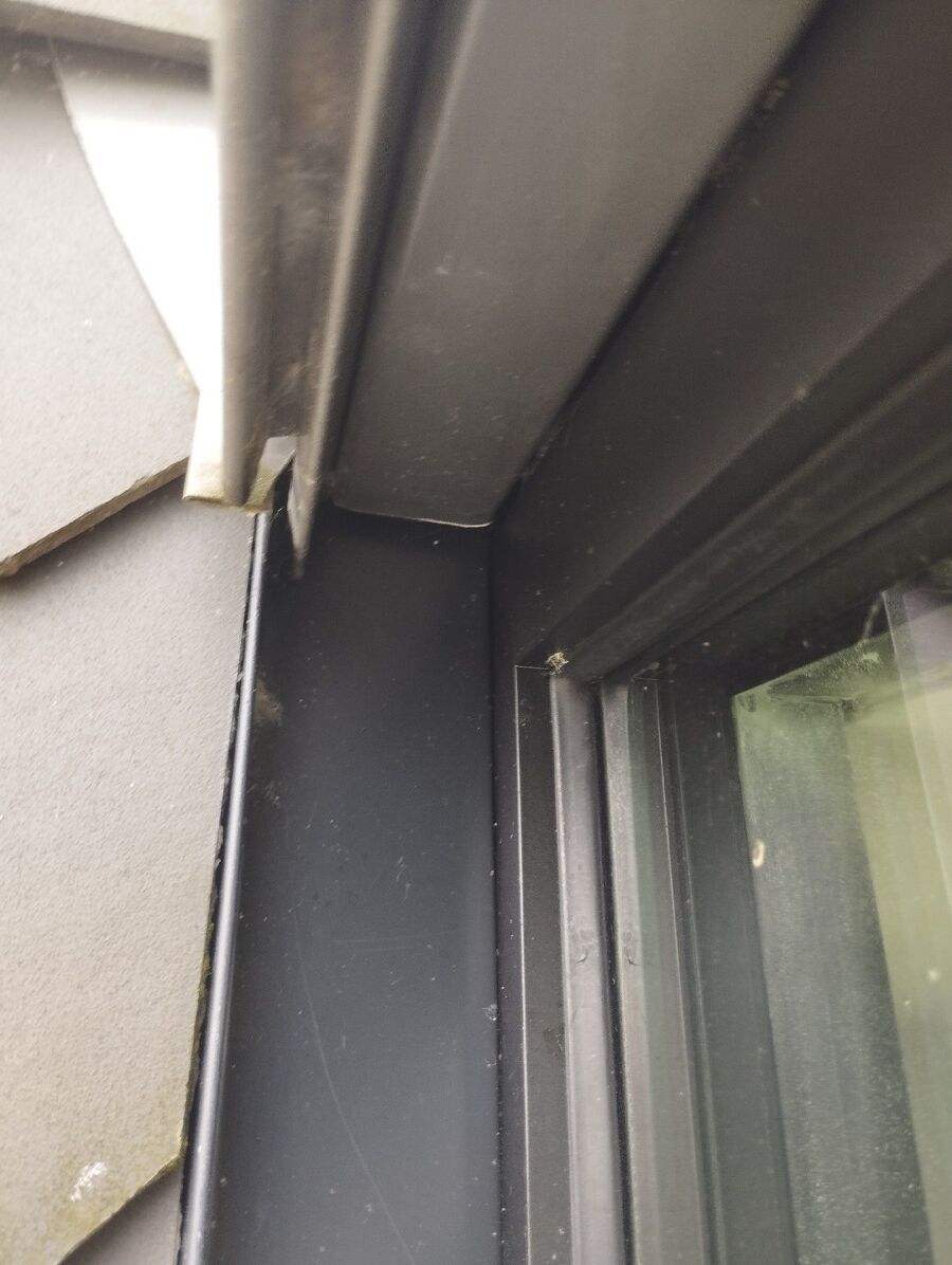 Relocate bees & remove bee nest