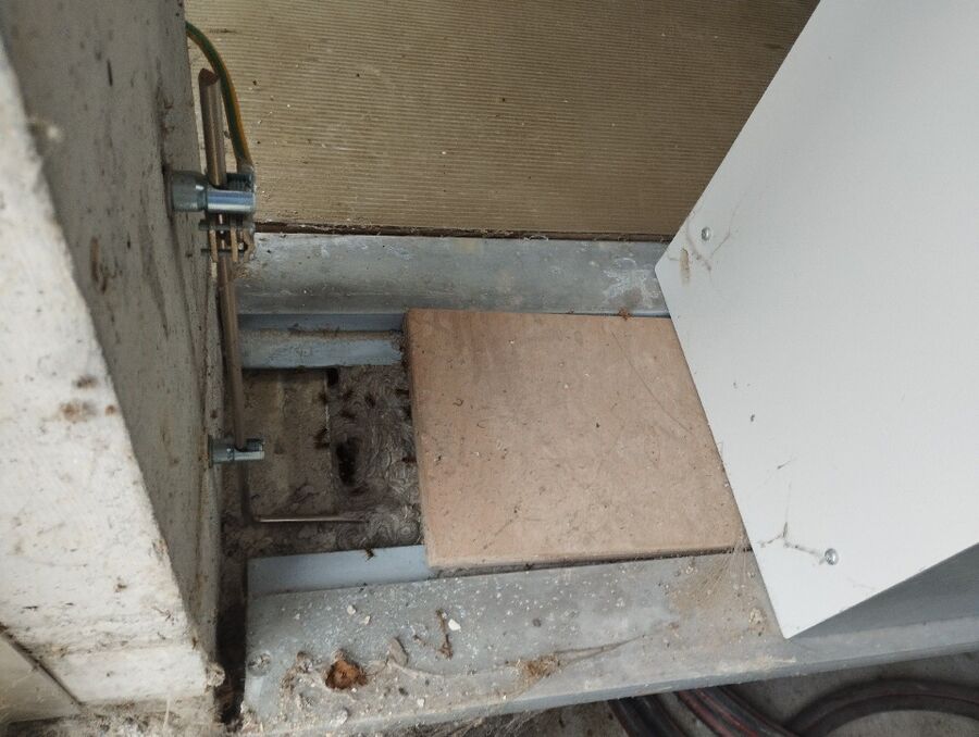 Relocate bees & remove bee nest