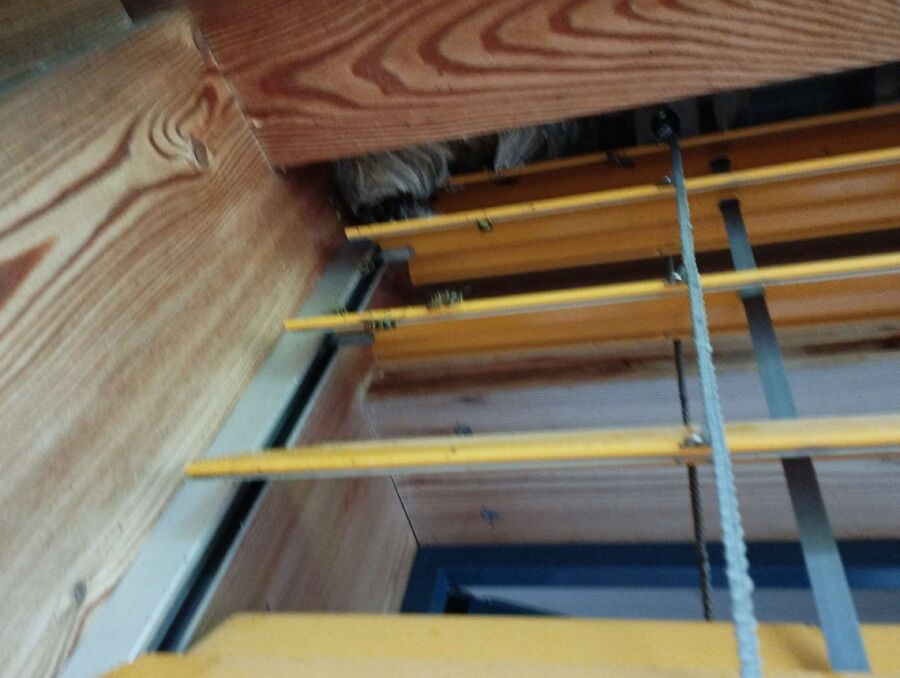 Bee nest at the house remove