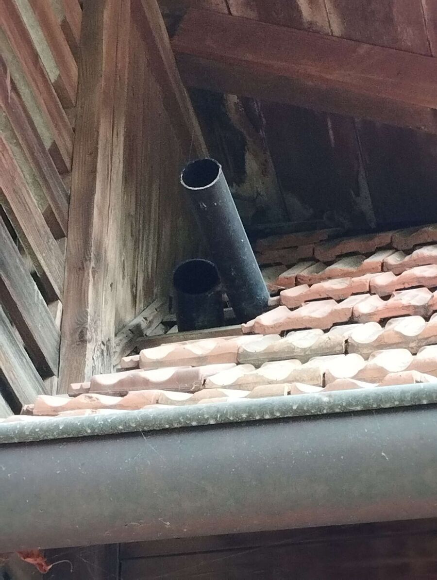 Bee nest at the house remove