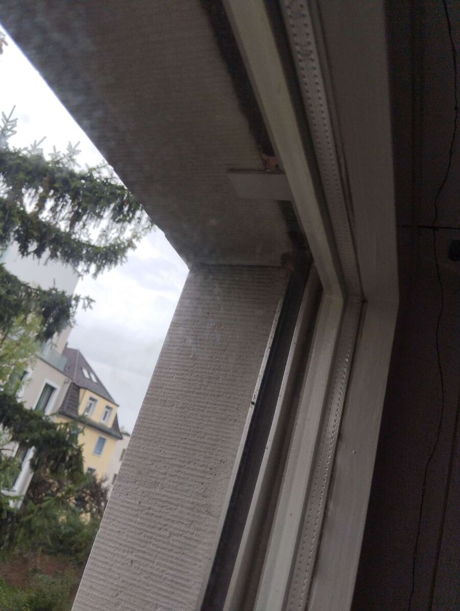 Bee nest at the house remove