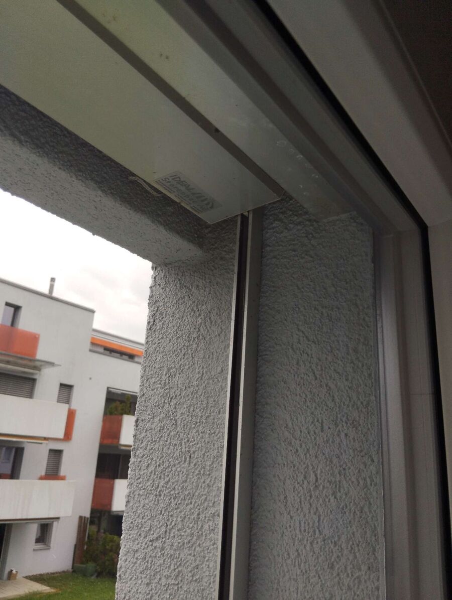 Bee nest at the house remove