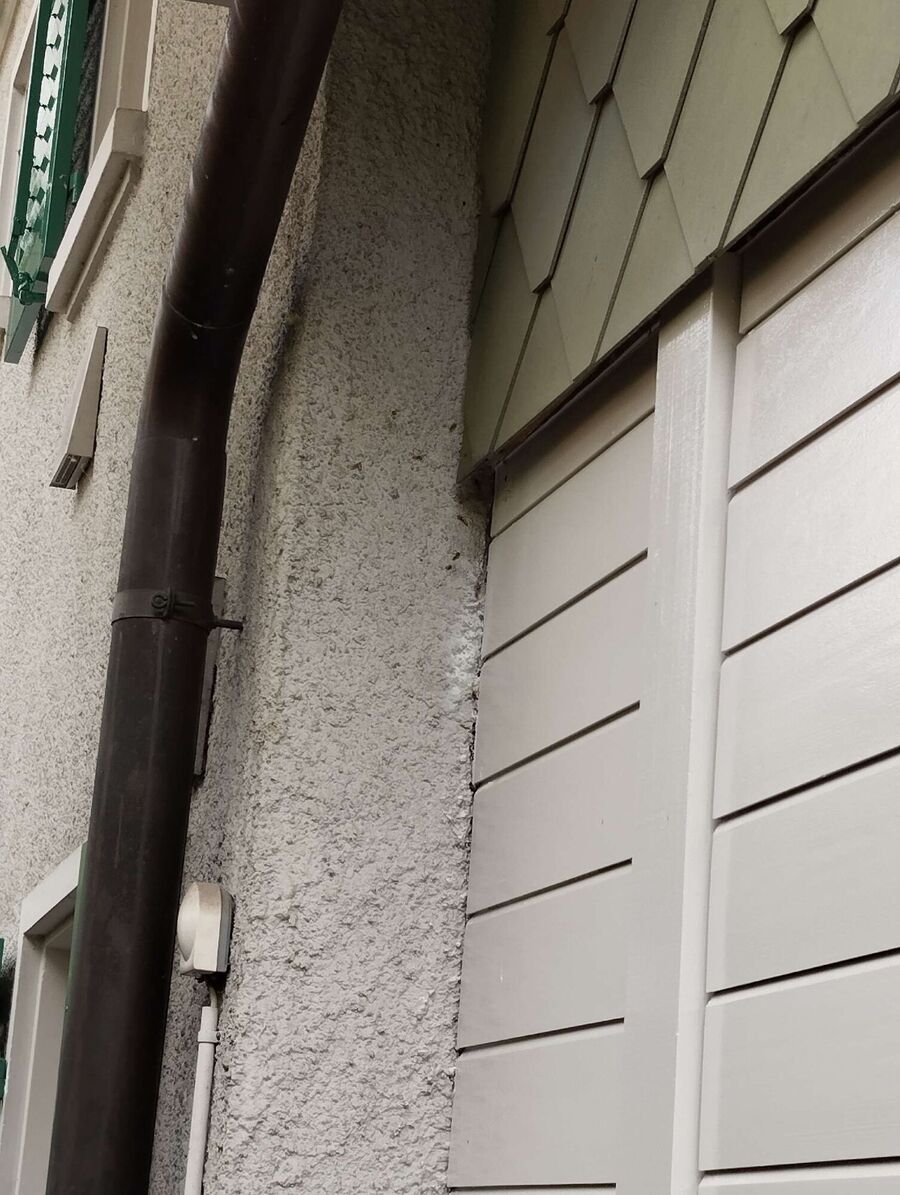 Bee nest at the house remove