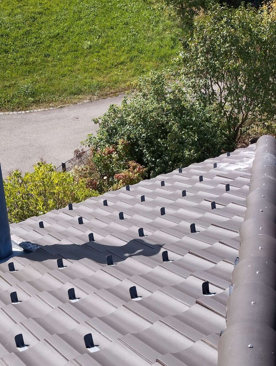 Bee nest at the house remove