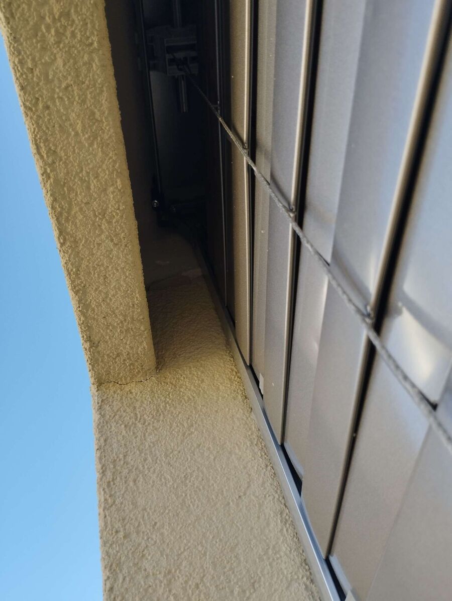 Relocate bees & remove bee nest