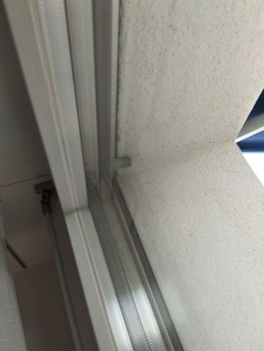 Relocate bees & remove bee nest