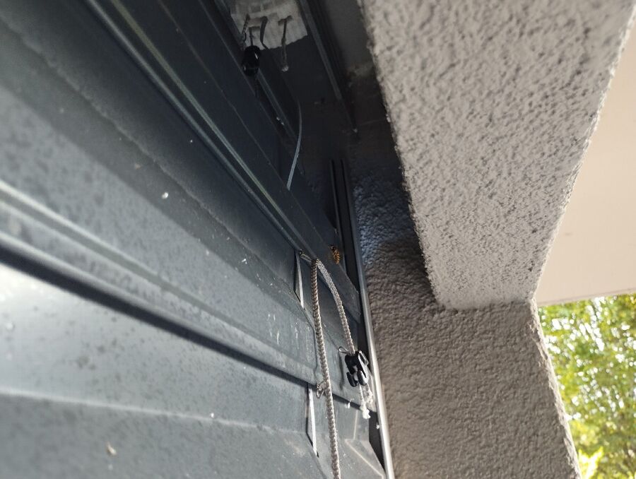 Bee nest at the house remove