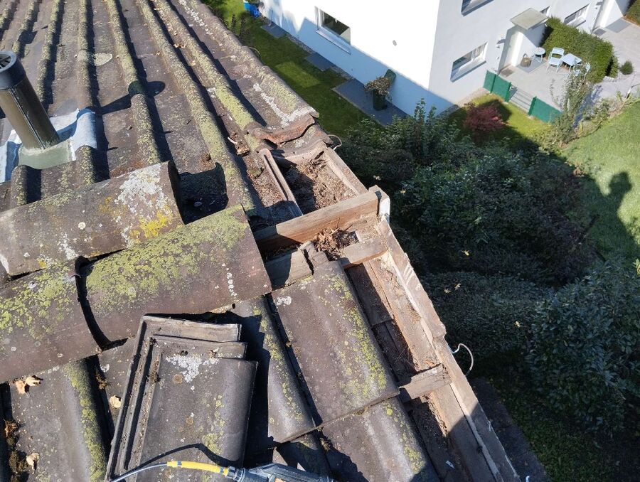 Bee nest at the house remove