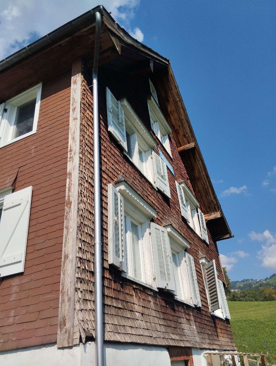 Relocate bees & remove bee nest