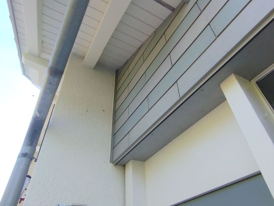 Bee nest at the house remove