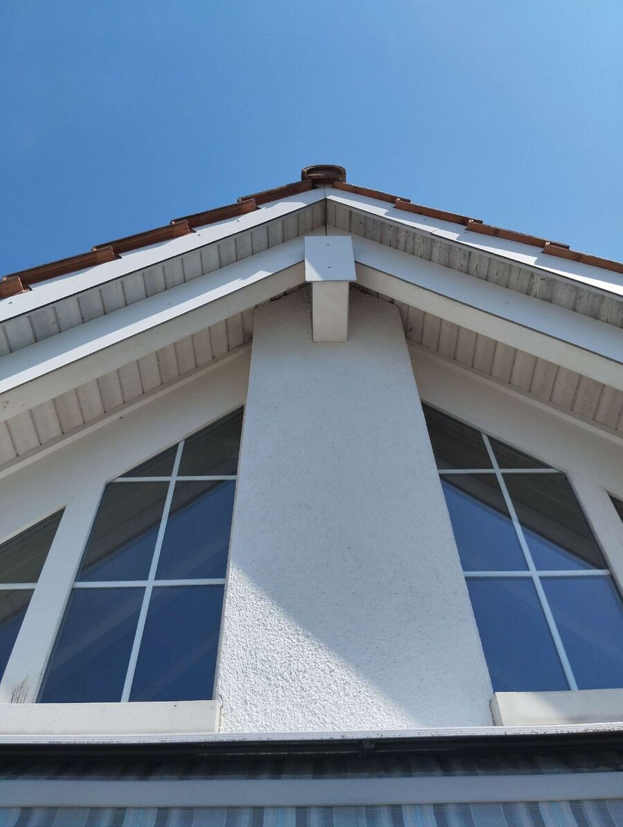 Bee nest at the house remove