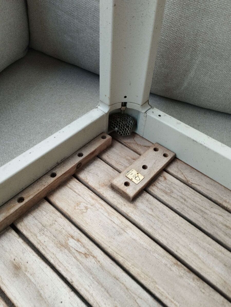 Relocate bees & remove bee nest