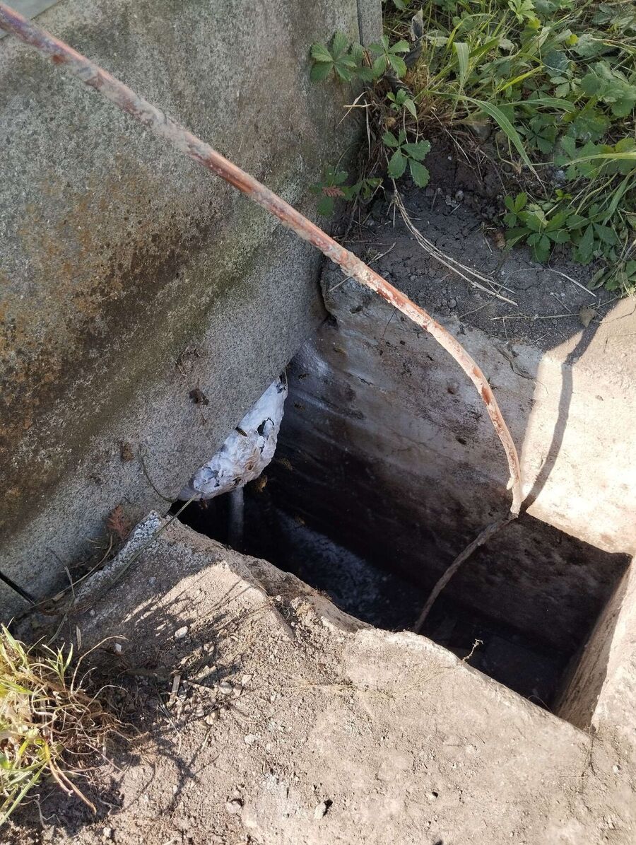 Bee nest at the house remove