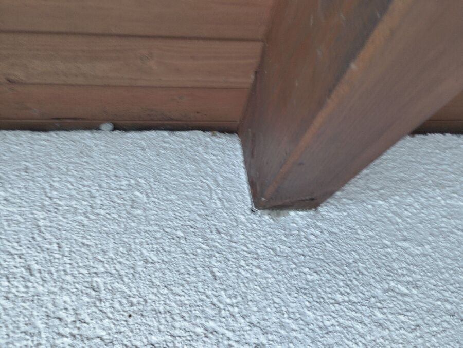 Bee nest at the house remove