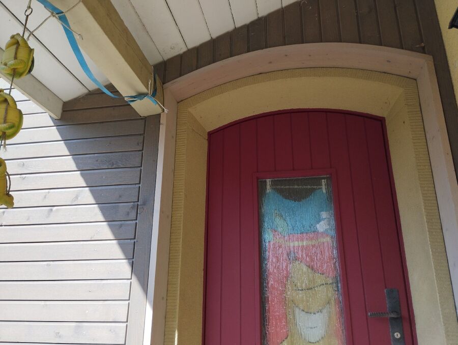 Bee nest at the house remove