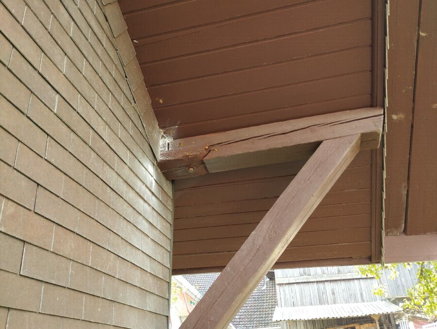 Relocate bees & remove bee nest