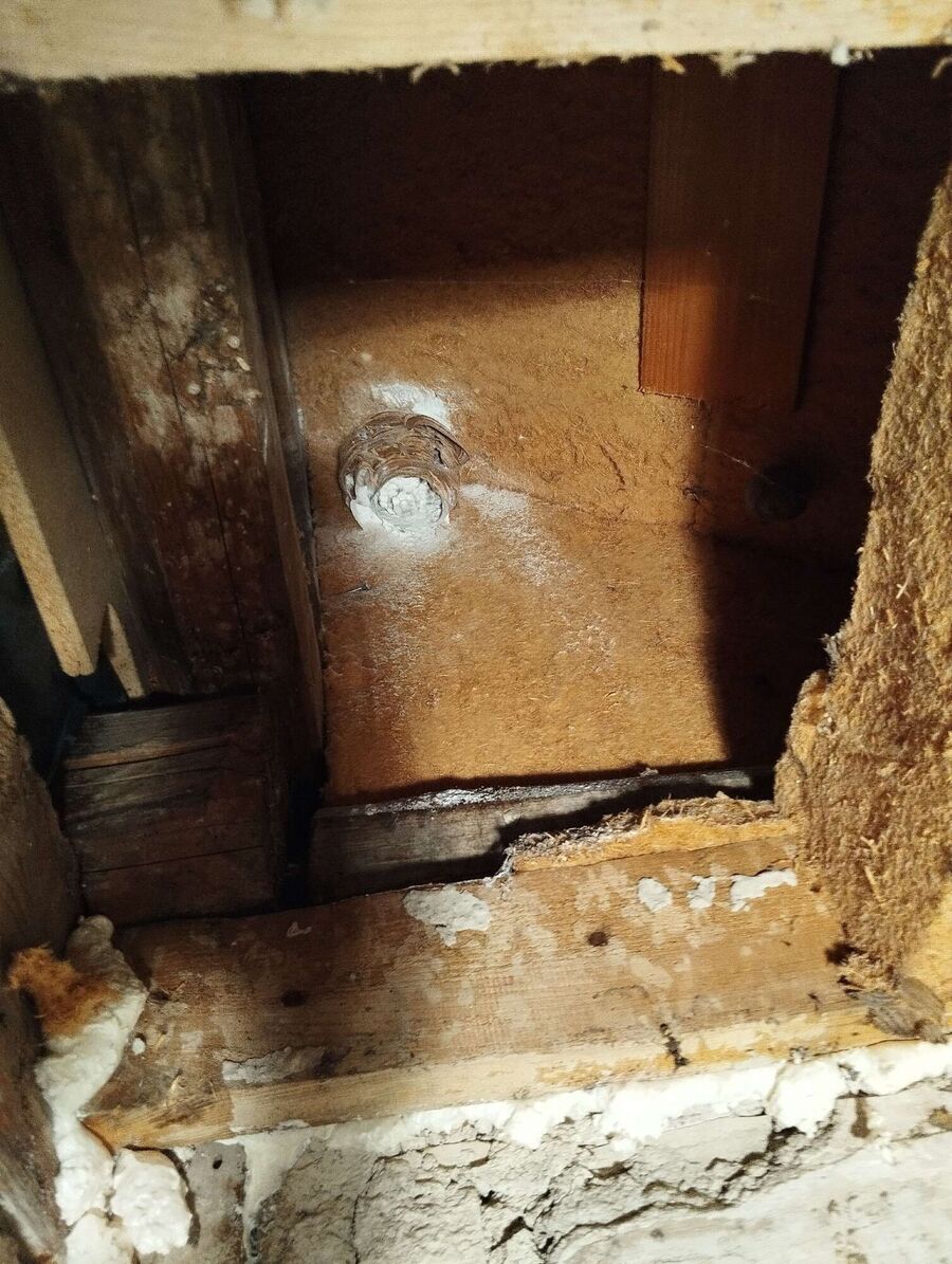 Relocate bees & remove bee nest