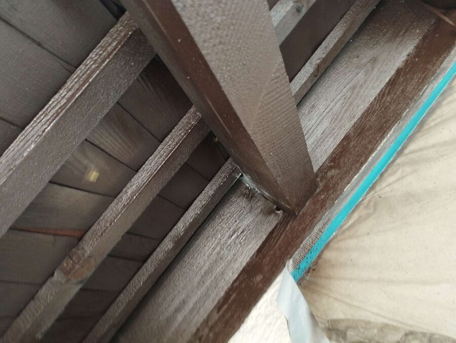 Relocate bees & remove bee nest