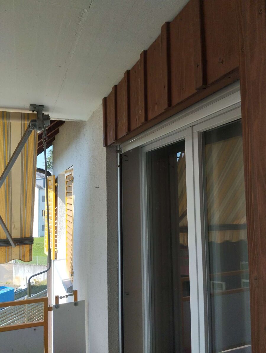 Relocate bees & remove bee nest